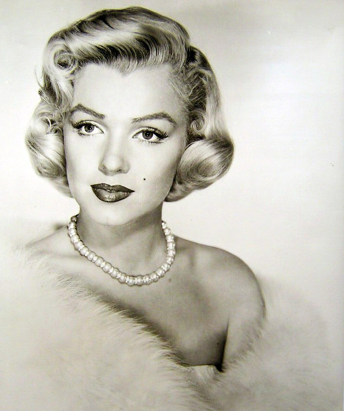 tumblr_lhwjoeVve51qb8ugro1_500