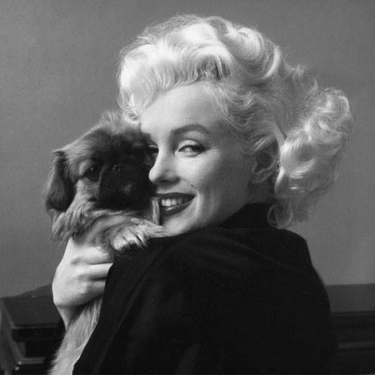 11898803_10154193281673986_4390380163093043794_n